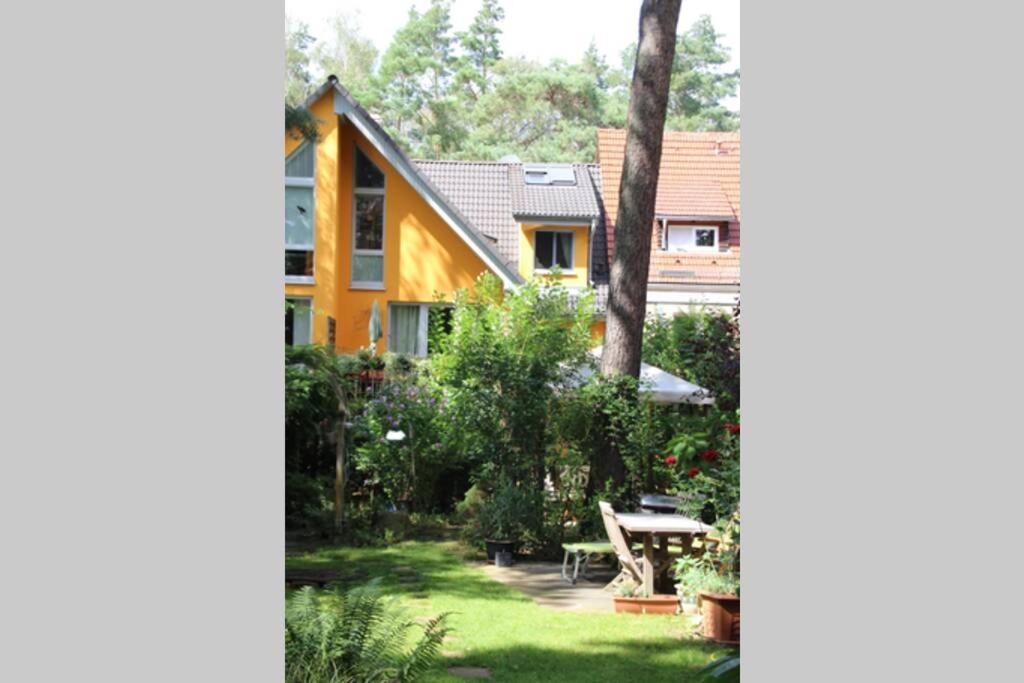 Apartment Einliegerwohnung Mit Wintergarten *